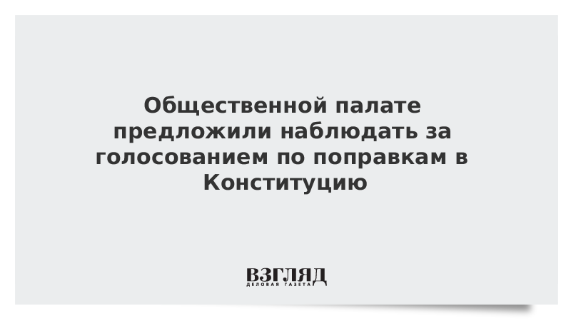 Общественной палате предложили наблюдать за голосованием по поправкам в Конституцию