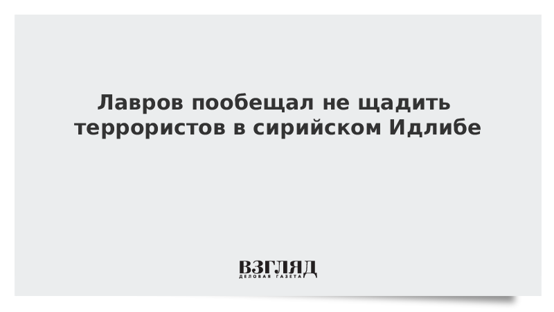 Лавров пообещал не щадить террористов в сирийском Идлибе