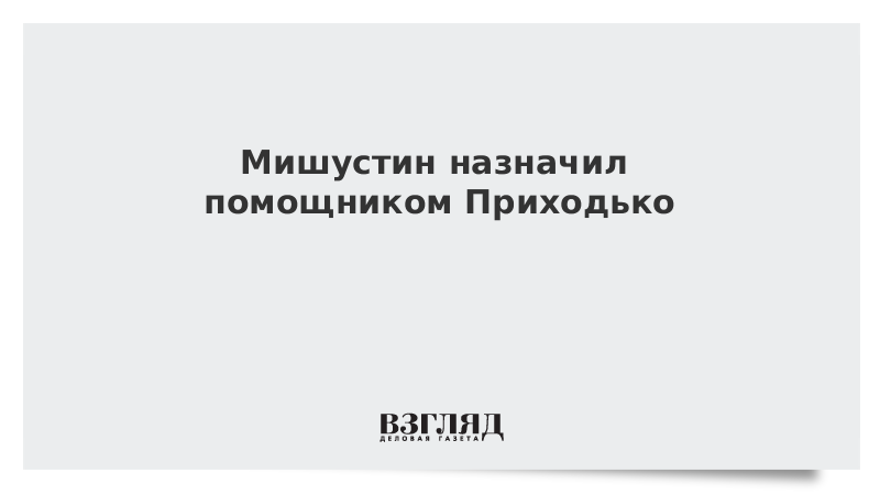 Мишустин назначил помощником Приходько