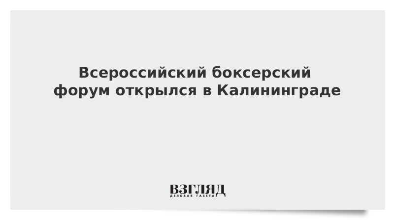 Всероссийский боксерский форум открылся в Калининграде