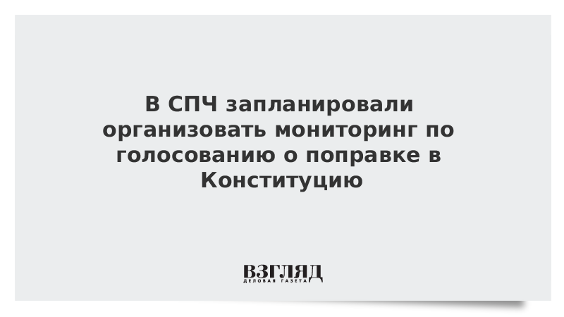 В СПЧ запланировали организовать мониторинг по голосованию о поправке в Конституцию