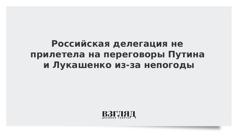 Часть российской делегации не прилетела на переговоры Путина и Лукашенко