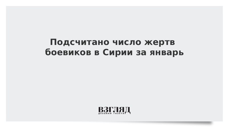 Подсчитано число жертв боевиков в Сирии за январь