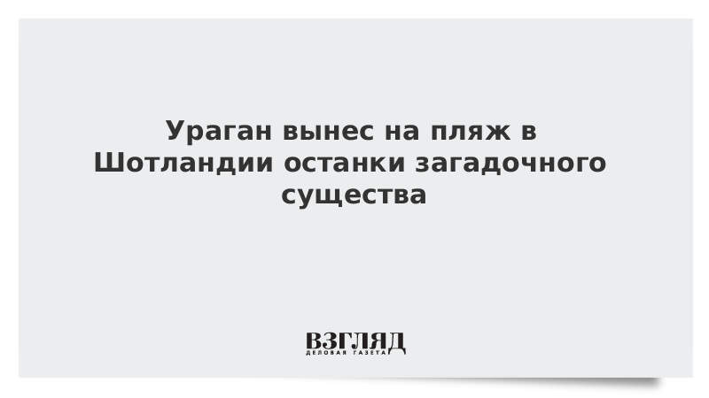 Ураган вынес на пляж в Шотландии останки загадочного существа