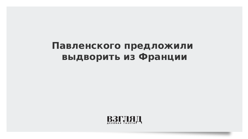 Павленского предложили выдворить из Франции