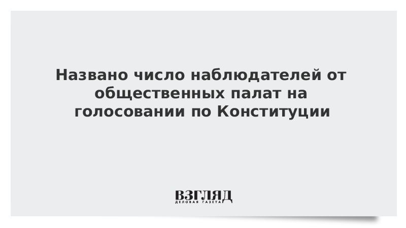 Названо число наблюдателей от общественных палат на голосовании по Конституции