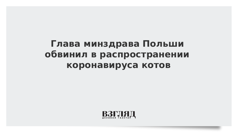 Глава минздрава Польши обвинил в распространении коронавируса котов