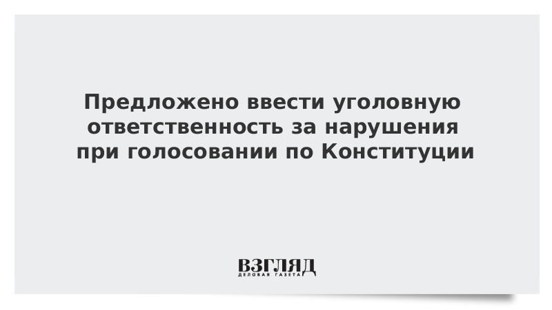 Предложено ввести уголовную ответственность за нарушения при голосовании по Конституции