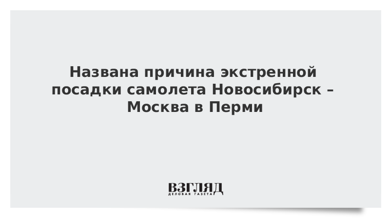 Названа причина экстренной посадки самолета Новосибирск – Москва в Перми