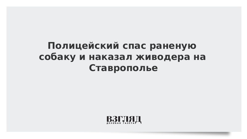 Полицейский спас раненую собаку и наказал живодера на Ставрополье