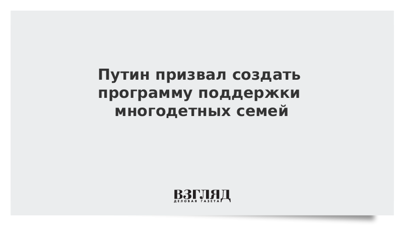 Путин призвал создать программу поддержки многодетных семей