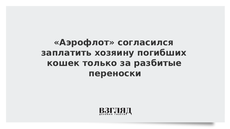 «Аэрофлот» согласился заплатить хозяину погибших кошек только за разбитые переноски