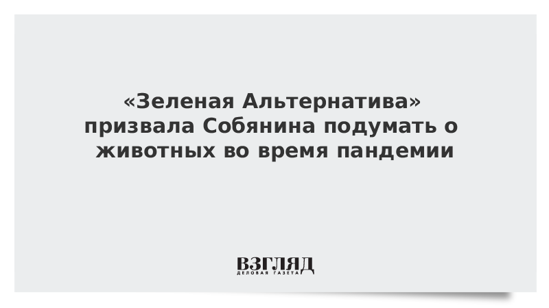 «Зеленая Альтернатива» призвала Собянина подумать о животных во время пандемии