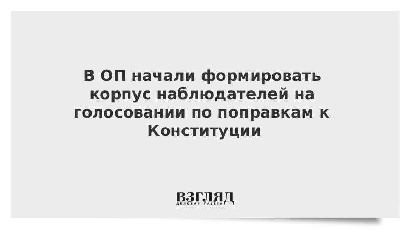 В ОП начали формировать корпус наблюдателей на голосовании по поправкам к Конституции