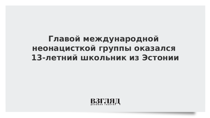 Главой международной неонацисткой группы оказался 13-летний школьник из Эстонии