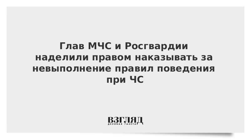 МЧС и Росгвардию наделили правом наказывать за невыполнение правил поведения при ЧС