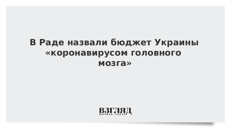 В Раде назвали бюджет Украины «коронавирусом головного мозга»