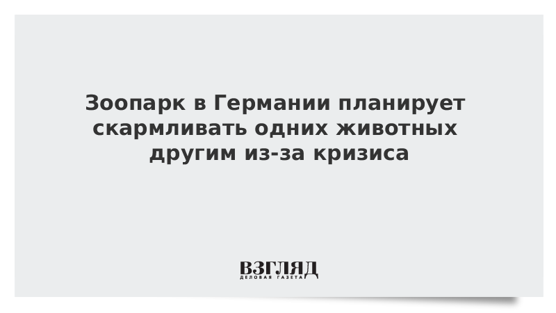 Зоопарк в Германии планирует скармливать одних животных другим из-за кризиса