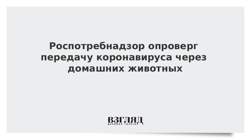 Роспотребнадзор опроверг передачу коронавируса через домашних животных