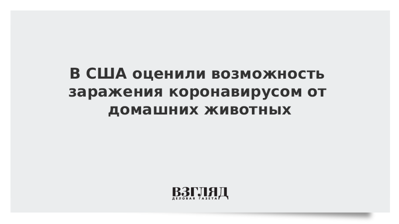 В США оценили возможность заражения коронавирусом от домашних животных