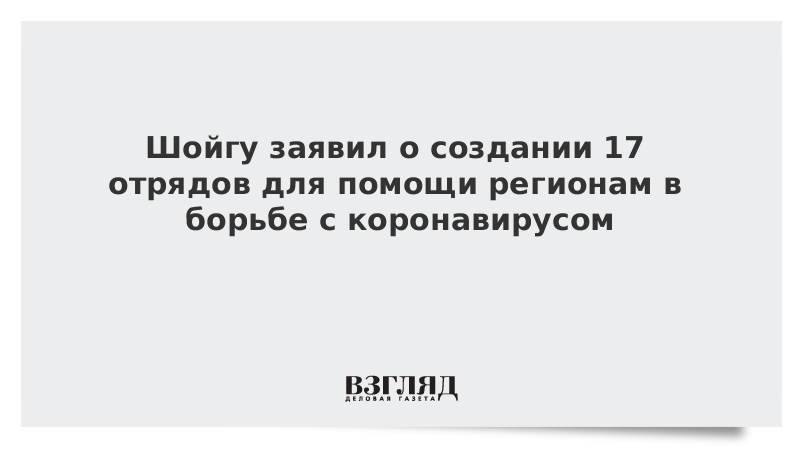 Шойгу заявил о создании 17 отрядов для помощи регионам в борьбе с коронавирусом