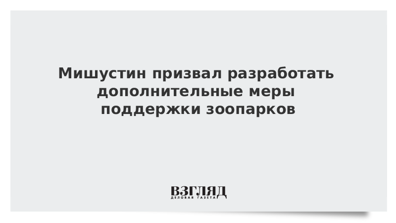 Мишустин призвал разработать дополнительные меры поддержки зоопарков