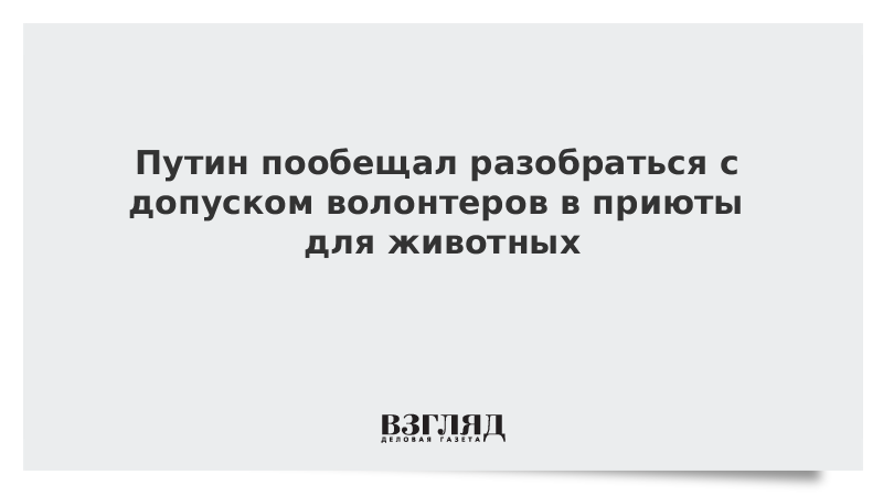 Путин пообещал разобраться с допуском волонтеров в приюты для животных