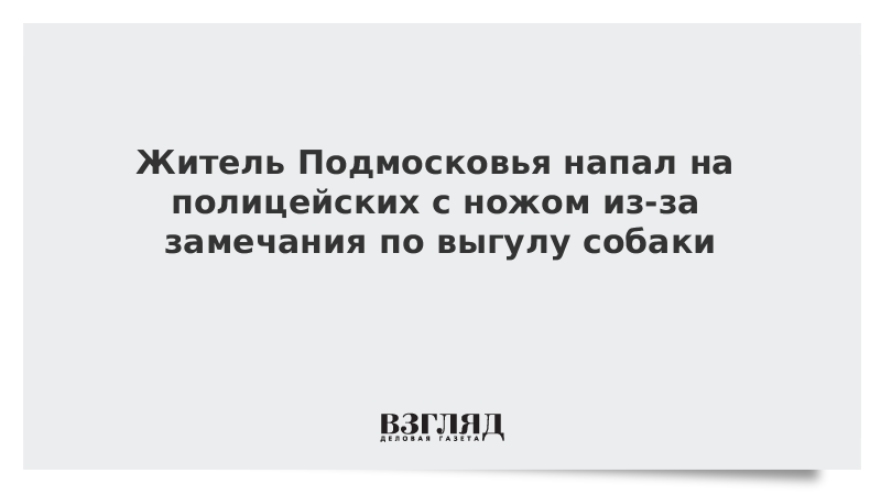 Житель Подмосковья напал на полицейских с ножом из-за замечания по выгулу собаки