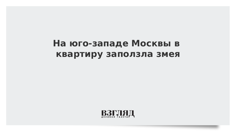 На юго-западе Москвы в квартиру заползла змея