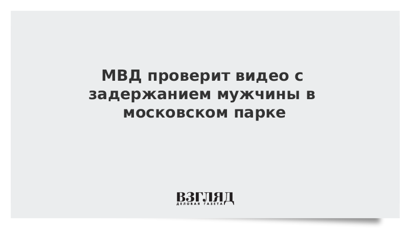 МВД проверит видео с задержанием мужчины в московском парке