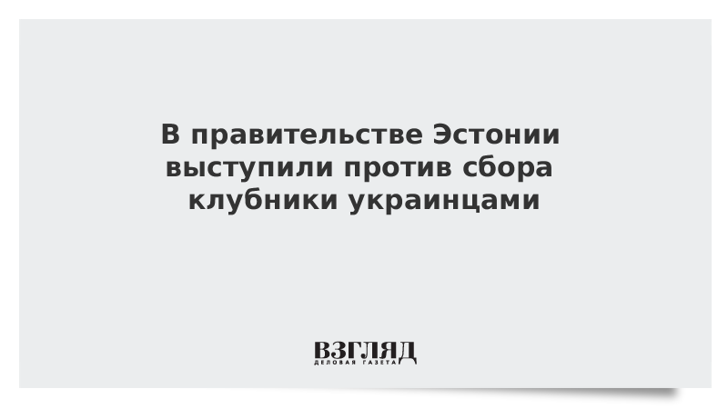 В правительстве Эстонии выступили против сбора клубники украинцами