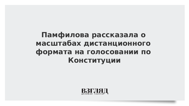 Памфилова рассказала о масштабах дистанционного формата на голосовании по Конституции