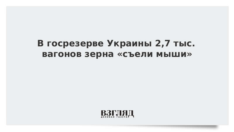 В госрезерве Украины 2,7 тыс. вагонов зерна «съели мыши»