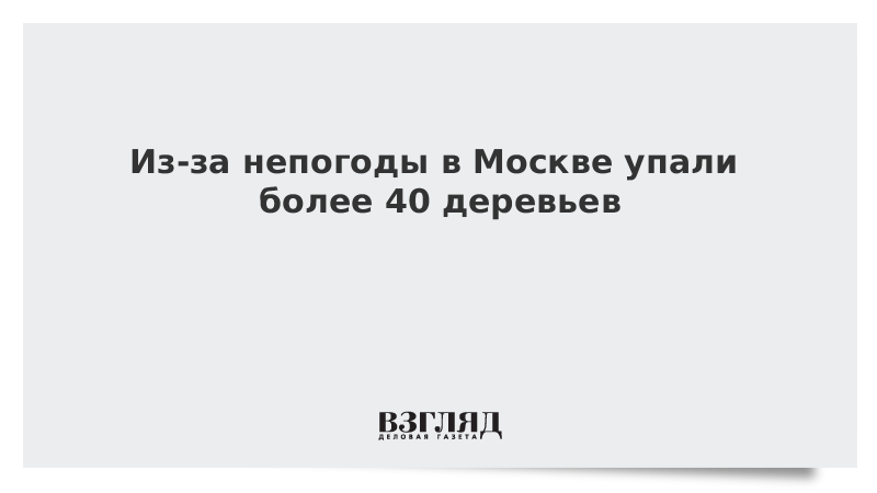 Из-за непогоды в Москве упали более 40 деревьев