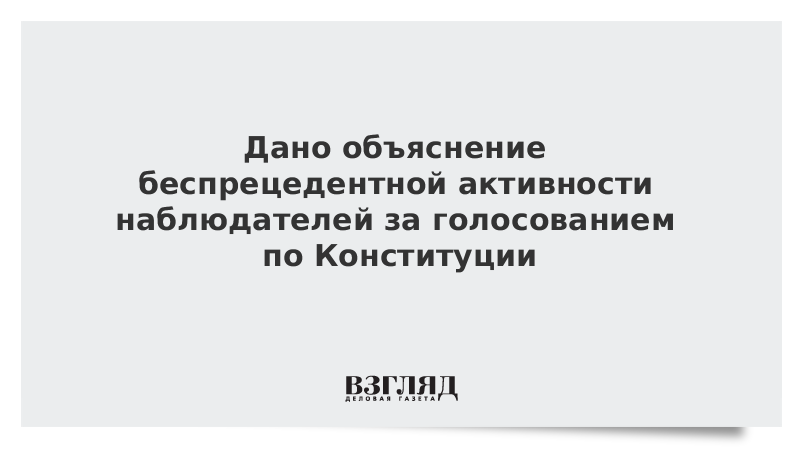 Дано объяснение беспрецедентной активности наблюдателей за голосованием по Конституции