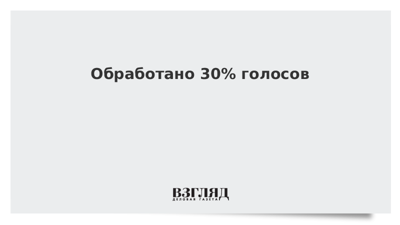 На голосовании по Конституции обработано 30% голосов