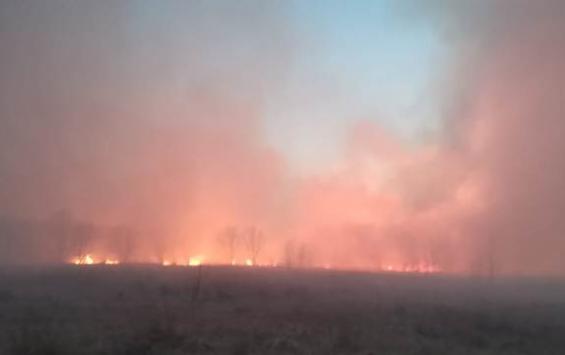 Пожар в Чернобыле не опасен для курян