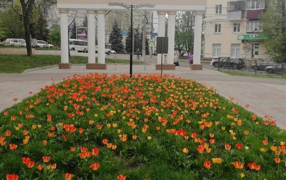 По качеству жизни Курск попал в 50 лучших