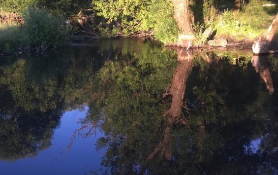 Водолазы не обнаружили утонувшего во Льгове