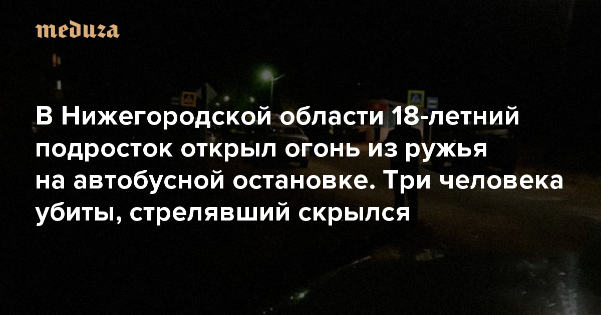 В Нижегородской области 18-летний подросток открыл огонь из ружья на автобусной остановке. Три человека убиты, стрелявший скрылся