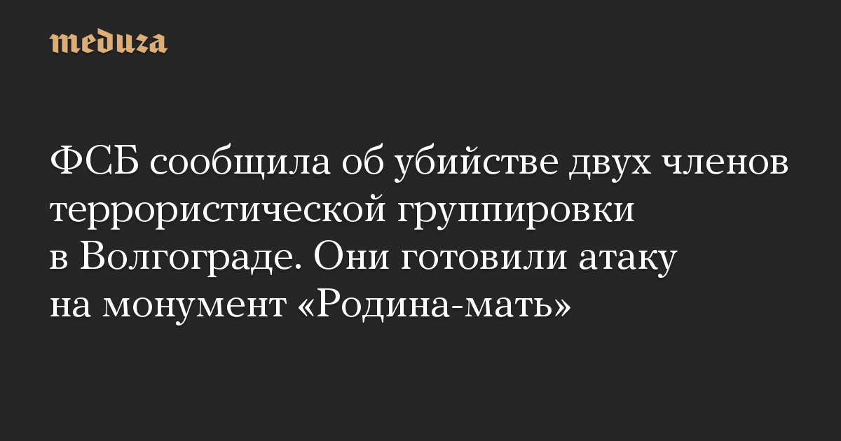 ФСБ сообщила об убийстве двух членов террористической группировки в Волгограде. Они готовили атаку на монумент «Родина-мать»