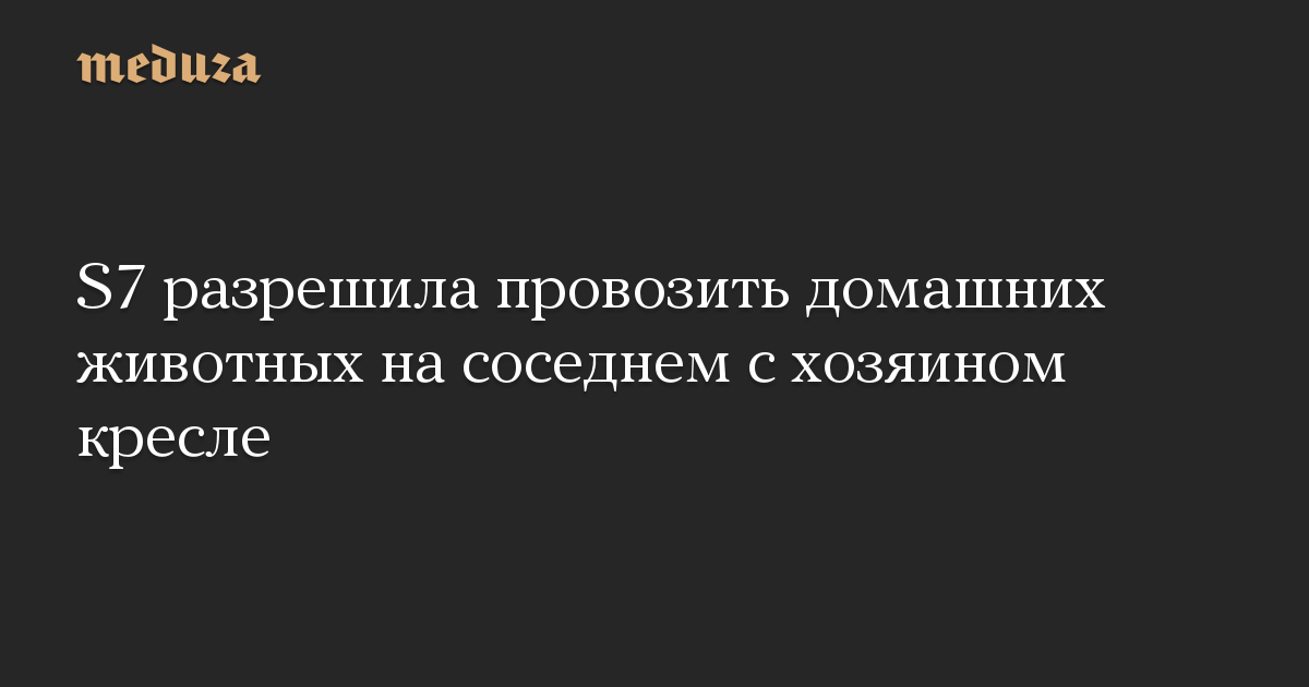 S7 разрешила провозить домашних животных на соседнем с хозяином кресле