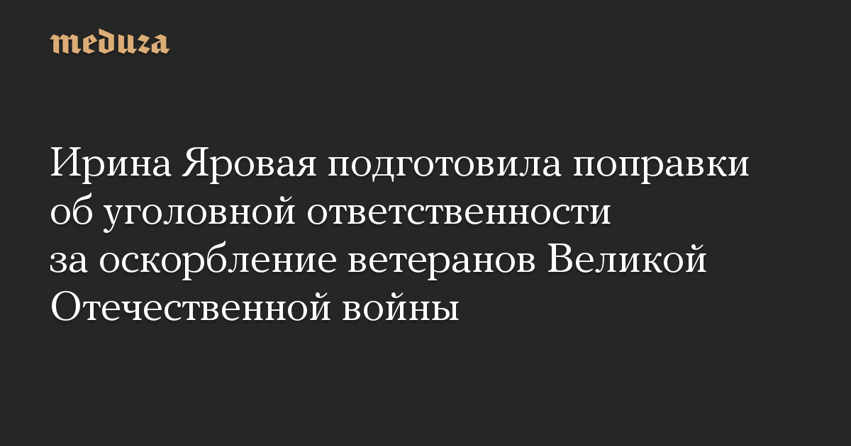 Ирина Яровая подготовила поправки об уголовной ответственности за оскорбление ветеранов Великой Отечественной войны