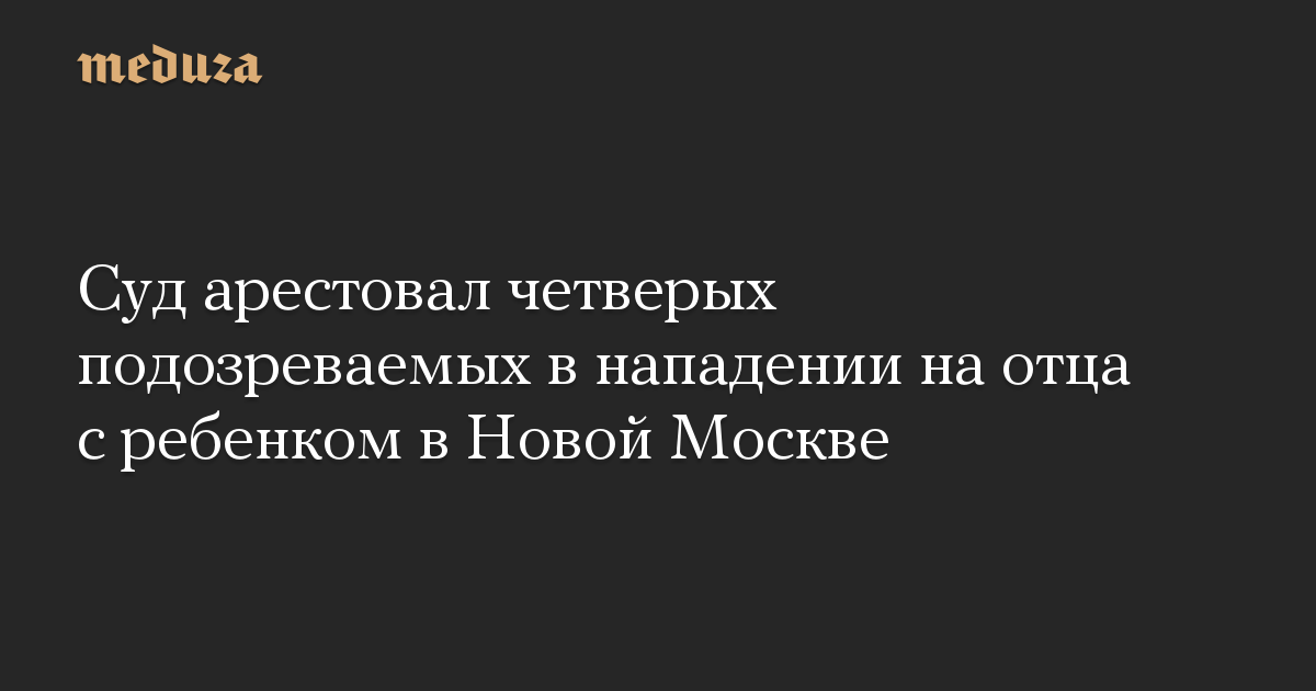 Суд арестовал четверых подозреваемых в нападении на отца с ребенком в Новой Москве