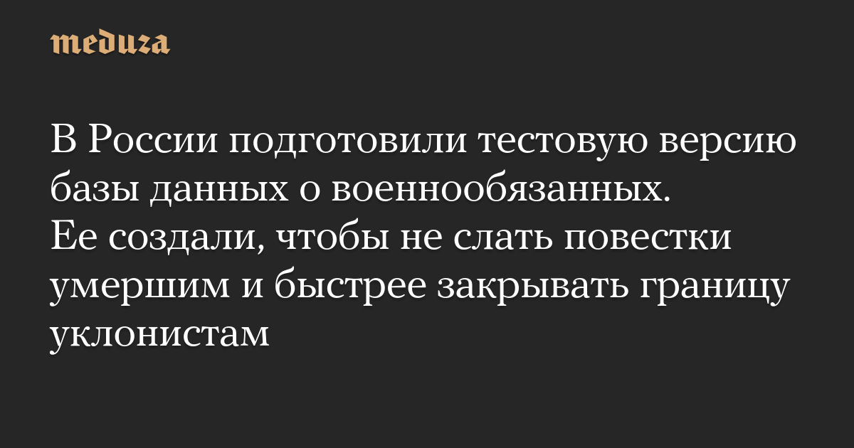 В России подготовили тестовую версию базы данных о военнообязанных. Ее создали, чтобы не слать повестки умершим и быстрее закрывать границу уклонистам