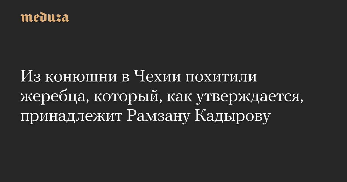 Из конюшни в Чехии похитили жеребца, который, как утверждается, принадлежит Рамзану Кадырову