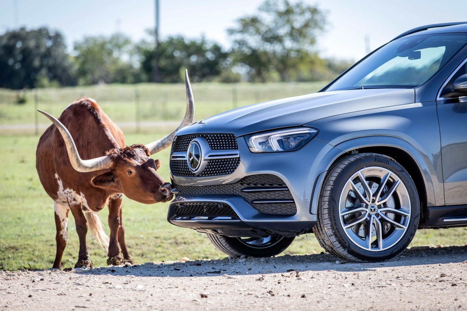 В России отзывают новые Mercedes-Benz GLE и GLS