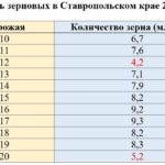 На Ставрополье собрали самый низкий урожай пшеницы за пятилетку