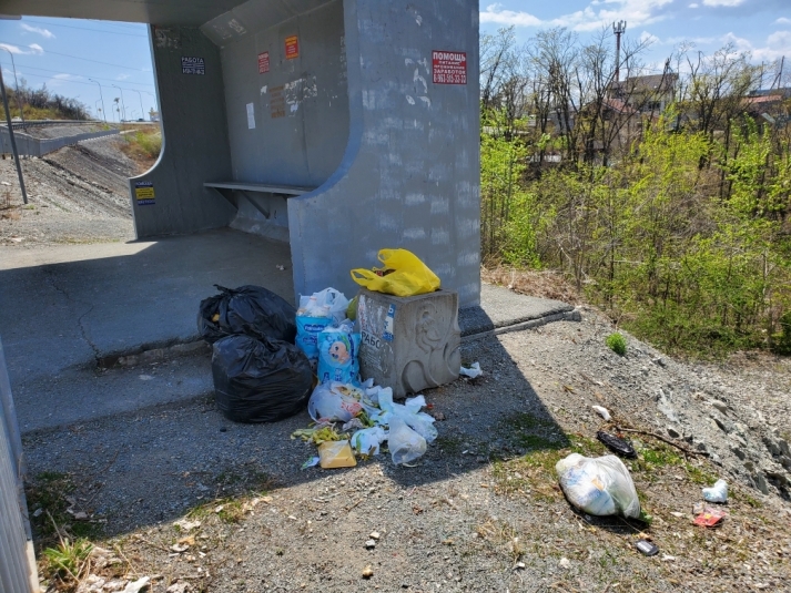 Автобусные остановки в пригороде Владивостока 'утопают' в мусоре (ФОТО)