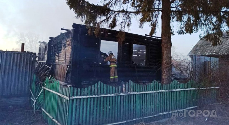 Три девочки погибли в ужасном пожаре в Пензенской области